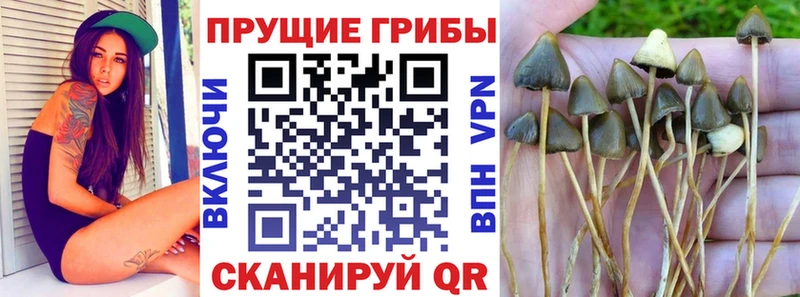 Галлюциногенные грибы мухоморы  наркотики  Пушкино 