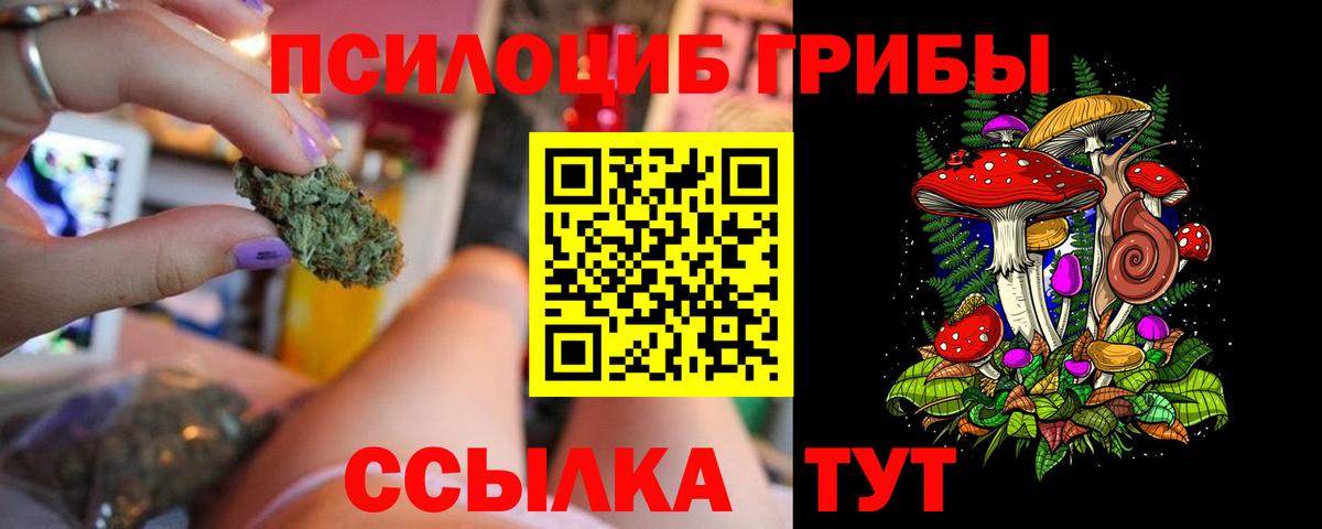 Псилоцибиновые грибы прущие грибы  Псилоцибиновые грибы Psilocybe  Вход с VPN  Пушкино 