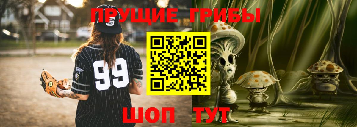 Псилоцибиновые грибы прущие грибы  где купить   Пушкино 
