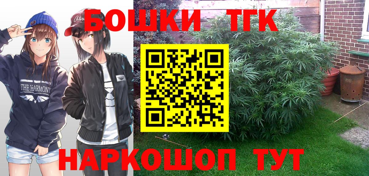 МАРИХУАНА конопля  Пушкино  Бошки марихуана план  Конопля ГИДРОПОН 